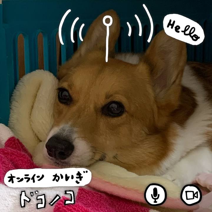 A4bf4f70 07f4 492a 9290 cdab3febabd0 1590711269407