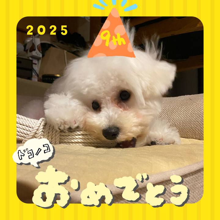 A4bf6dbb b8cf 45c0 94e0 07396056a148 1749125638514