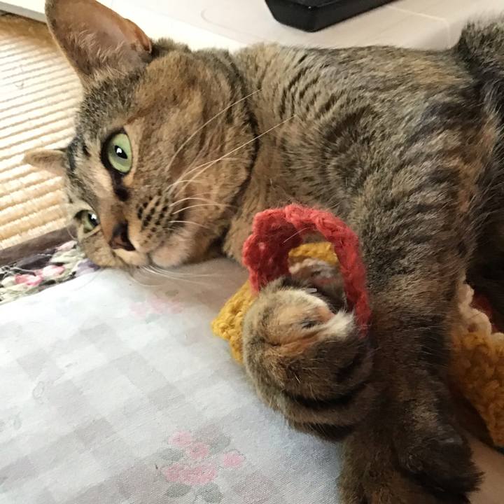 A4bf6fc2 acf8 426f 9a29 1bca65ce2218 1622248908263