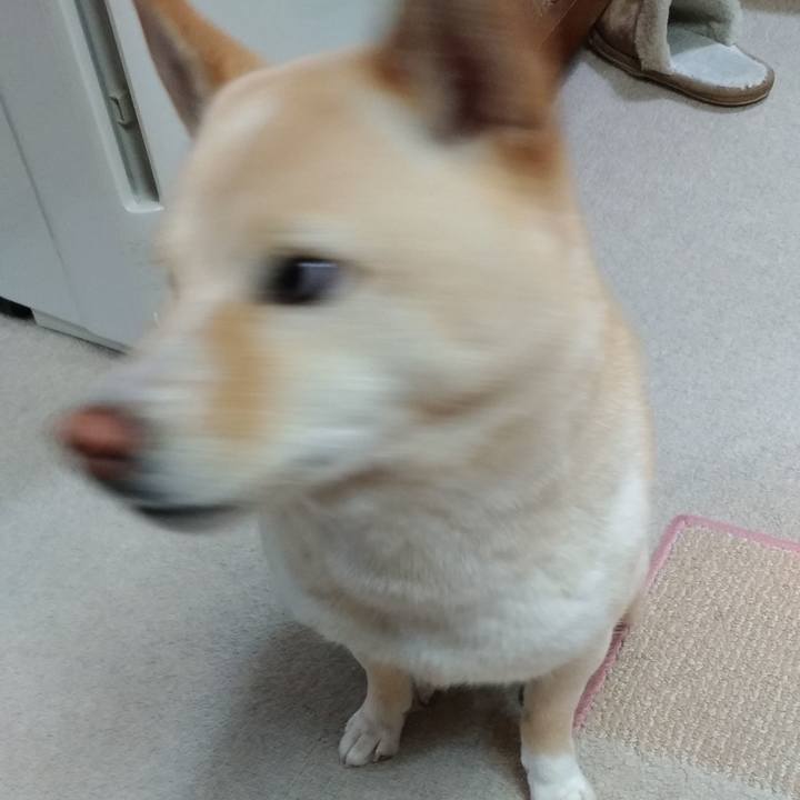 A4bf9f93 9d02 4182 8994 4f9c5604b546 1581975551474