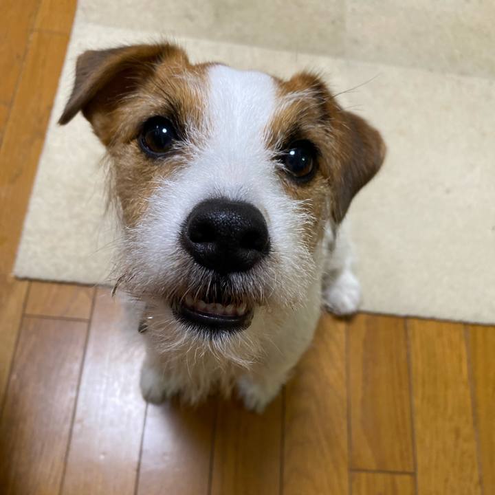 A4c014b0 84cf 423d 9046 838b4e031871 1714391353625