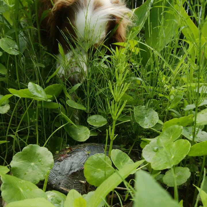 A4c05ae6 3c13 497f acec 01cb9ced1dc4 1528682118697