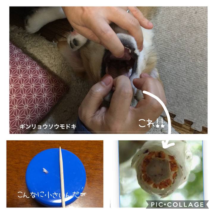 A4c10a65 da26 44dd 8b41 9a7affbcffdb 1594771659427