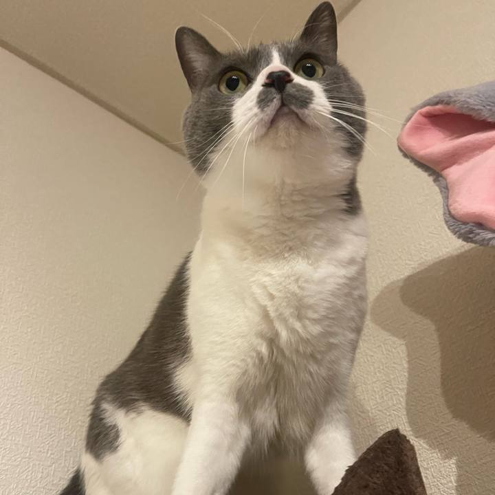 A4c11829 629e 4501 8527 d90431df851d 1733918702352