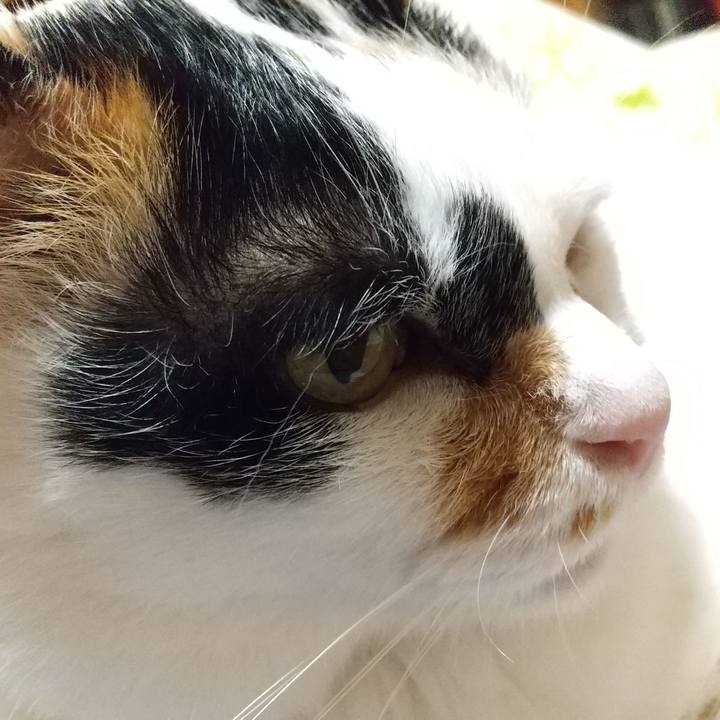 A4c15987 3d11 484d a034 8eefebdc073f 1673091617298