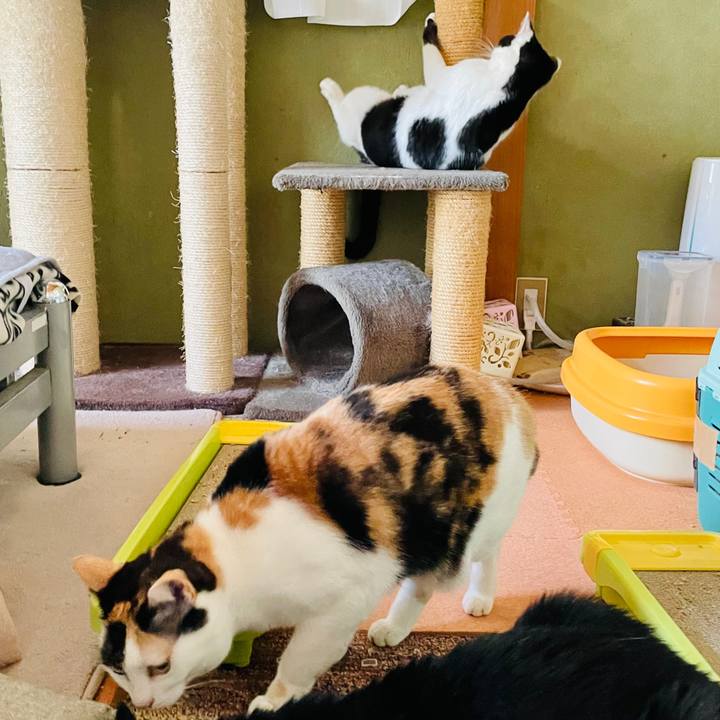 A4c16613 2c90 44c3 90b3 822a60c6c05f 1614478993671