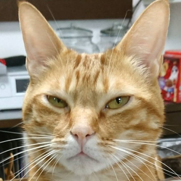 A4c16ac1 d534 4c29 a3af 5f7b10904dd4 1524298719268