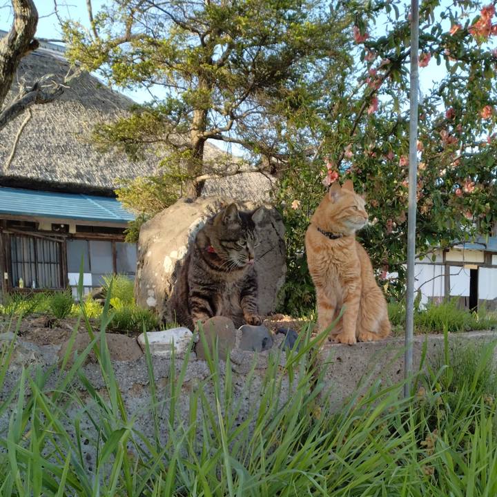 A4c17ba6 4c32 4862 8e10 c9202c1bc9e3 1682673062451