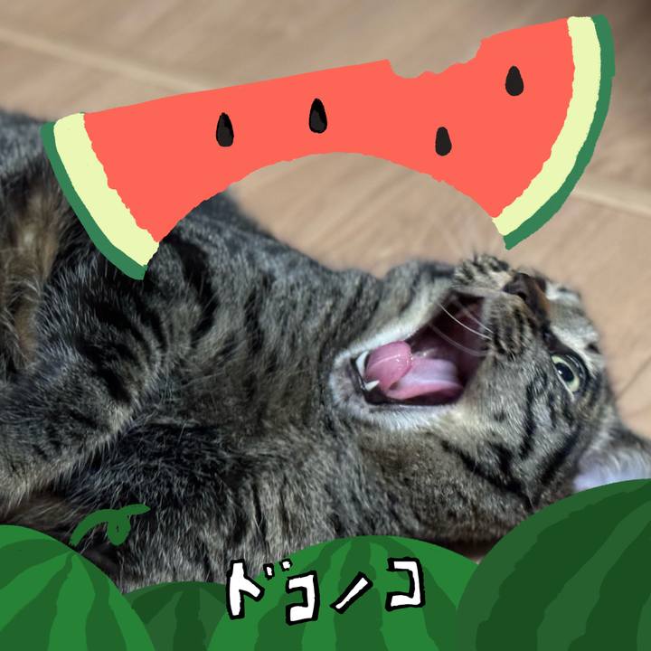 A4c19ccf 8691 42b7 aa18 2ecc2c5e5651 1720788642135