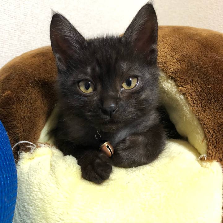 A4c1a253 bfe8 433c 8996 28ed66d7bf82 1605796939727