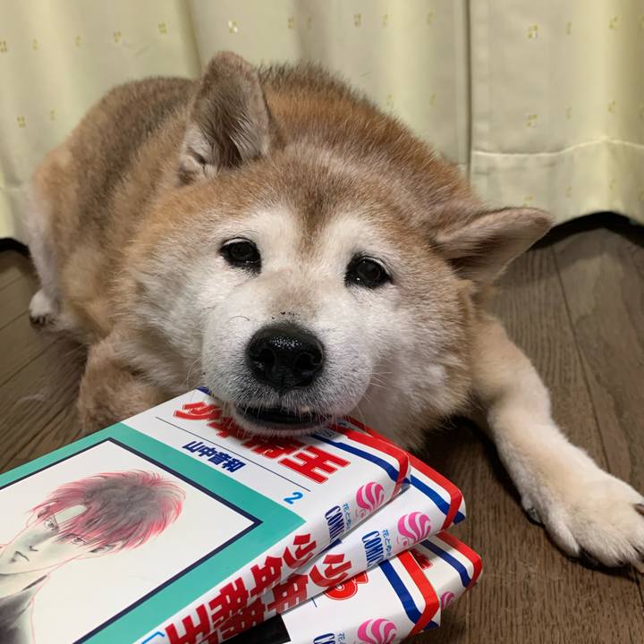 A4c1aa70 ebb1 4028 bfe1 371cf4dafe9e 1623152068273