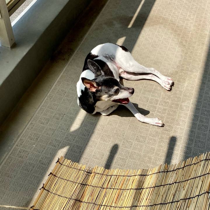 A4c1d31c 2500 4f32 8185 8b041aa37c02 1627780337247