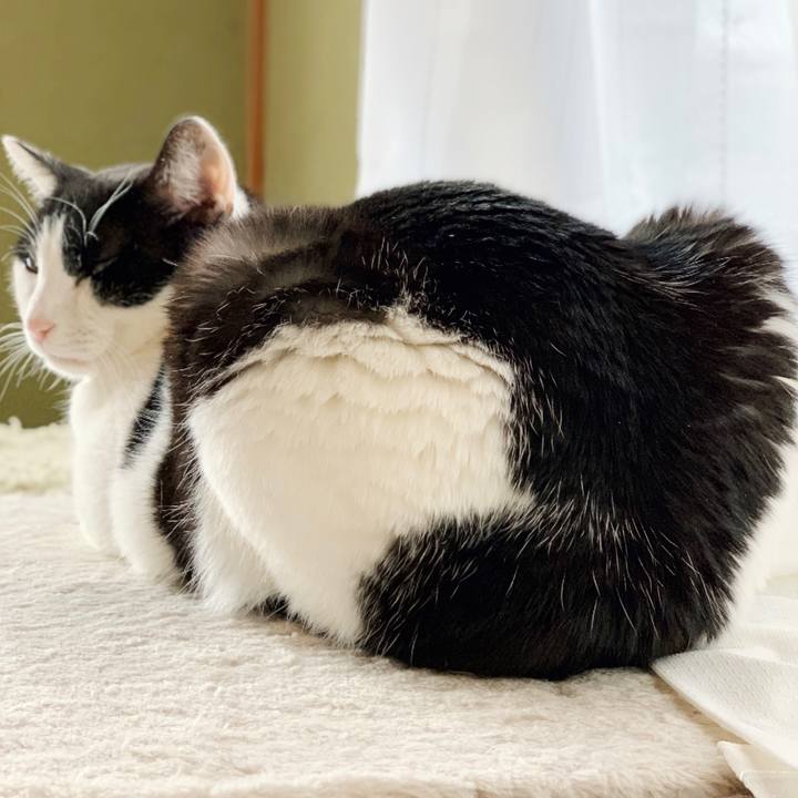 A4c1da67 6c23 4569 85c9 46a587aae1ef 1550458221299