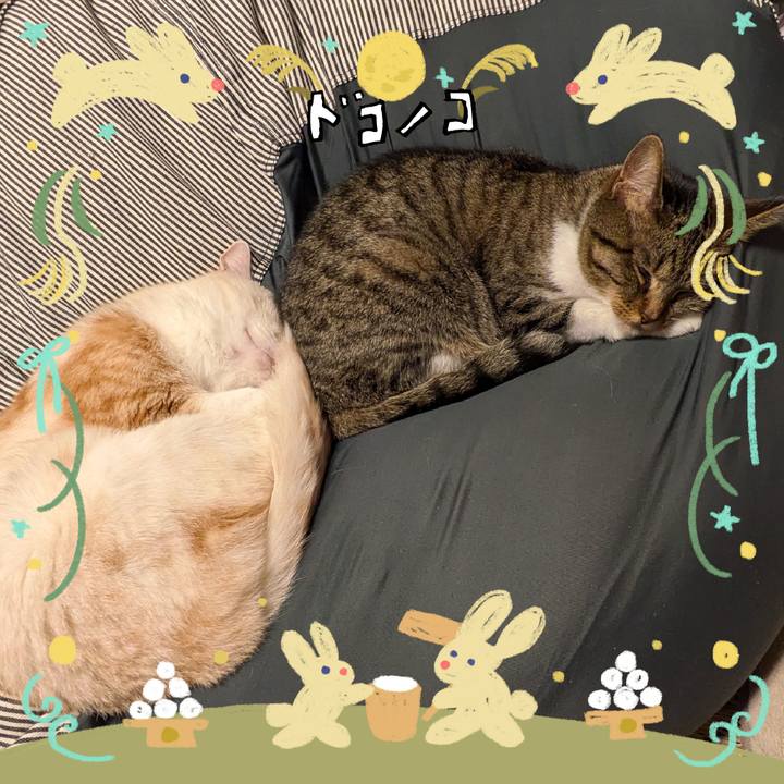 A4c1fd3a 0b9e 433e 9549 677a03b25232 1727180874531