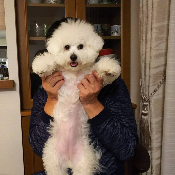 A4c21c8e e7ae 4953 8efd 2bf808e98c39 1508299171149