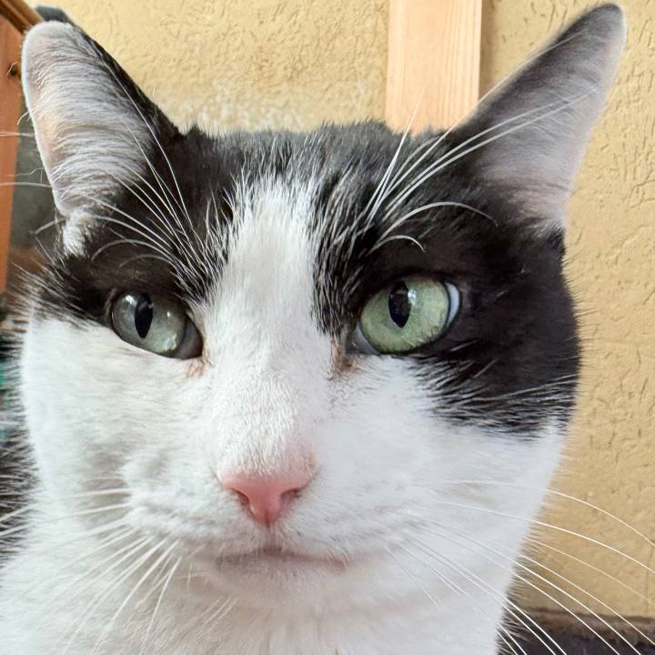 A4c2667b 7226 4d3a 9473 5f6d10f1b683 1773713327832