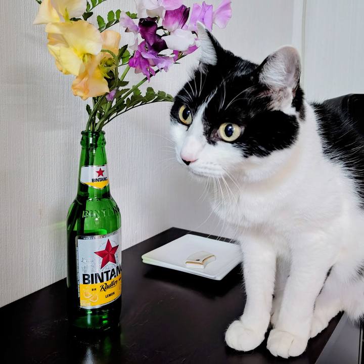 A4c26e32 8ef4 4f98 91ca 26ab4054a512 1766409426315