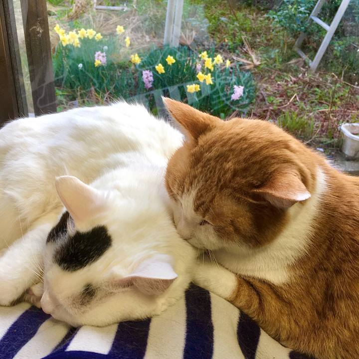 A4c28ce5 586f 4acb 9545 7b3ed3a0d927 1585973284191