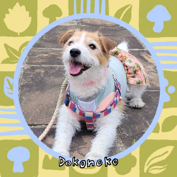 A4c299cd 19df 4e40 ac41 903e9224795d 1761266890109