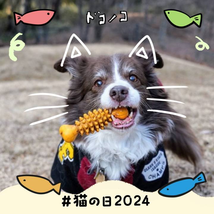 A4c2db62 753c 48e4 b58b d9dcdee3d43f 1708591265241