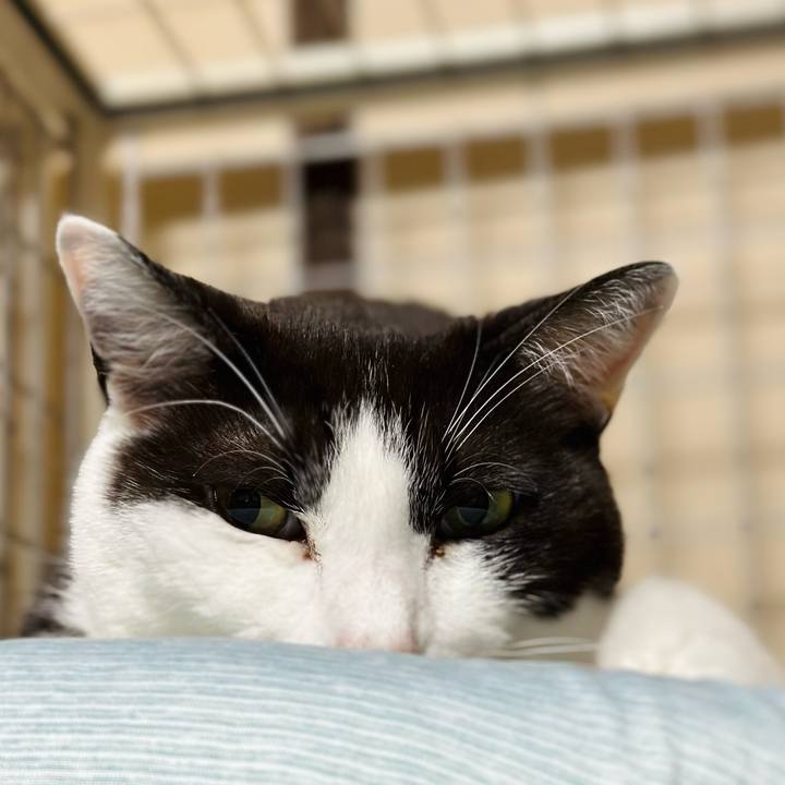 A4c2f878 0e28 49da 877b e8d4de266571 1686361282458