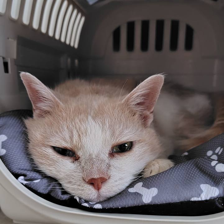 A4c30ead 0485 4f9f bab9 4b6e13fa90ab 1750718048382