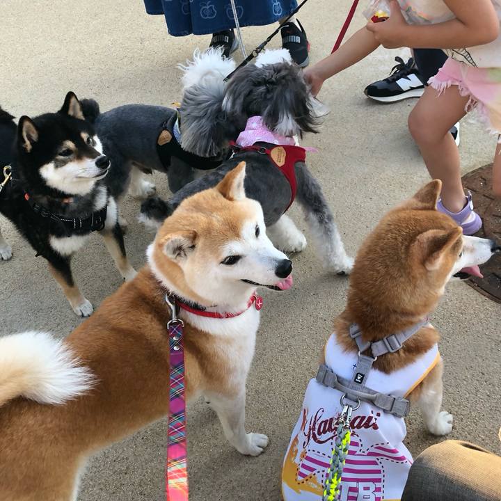 A4c3d93b 5ad7 4fa7 b4b5 f1b44f1d23a2 1718323381072