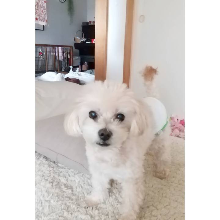 A4c3dcd7 87b2 437c 9949 cdef757ace42 1635654718625