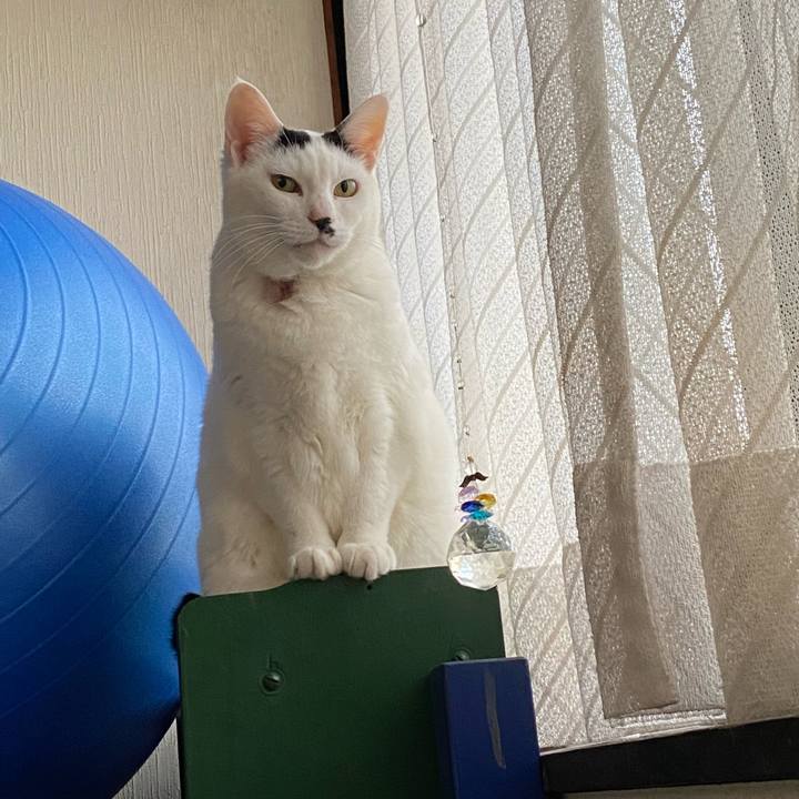 A4c41044 ac21 48f2 94ab c5829e7ce42d 1652991873217