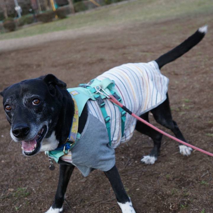 A4c4389b 2b1a 476e 8900 22377f3c698e 1773447679851