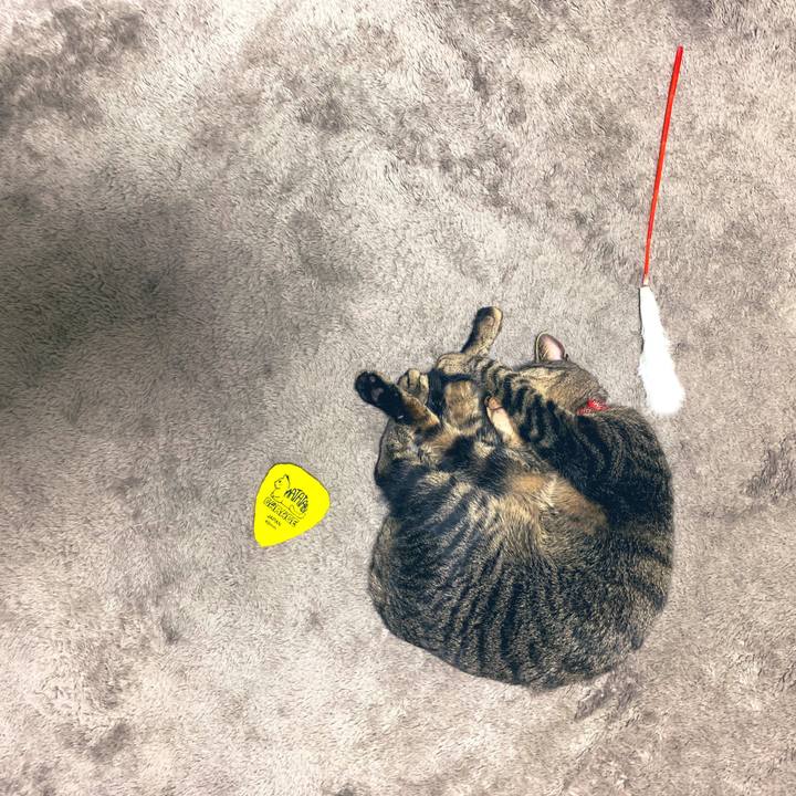 A4c440e4 686d 4ed4 b093 44cfe6c349ea 1553088314230