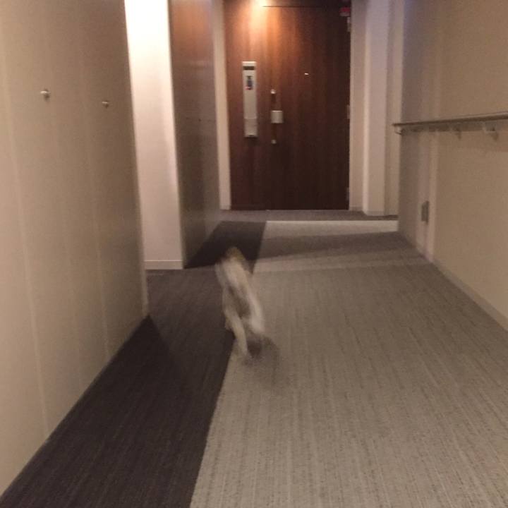 A4c44bc7 71c0 4ca3 b75b 6e1d2c9e2b4e 1559042118798