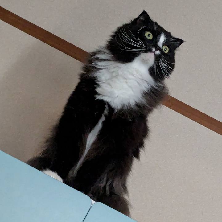 A4c451c0 021e 4a7c a446 8ed50e31ecef 1743312045666