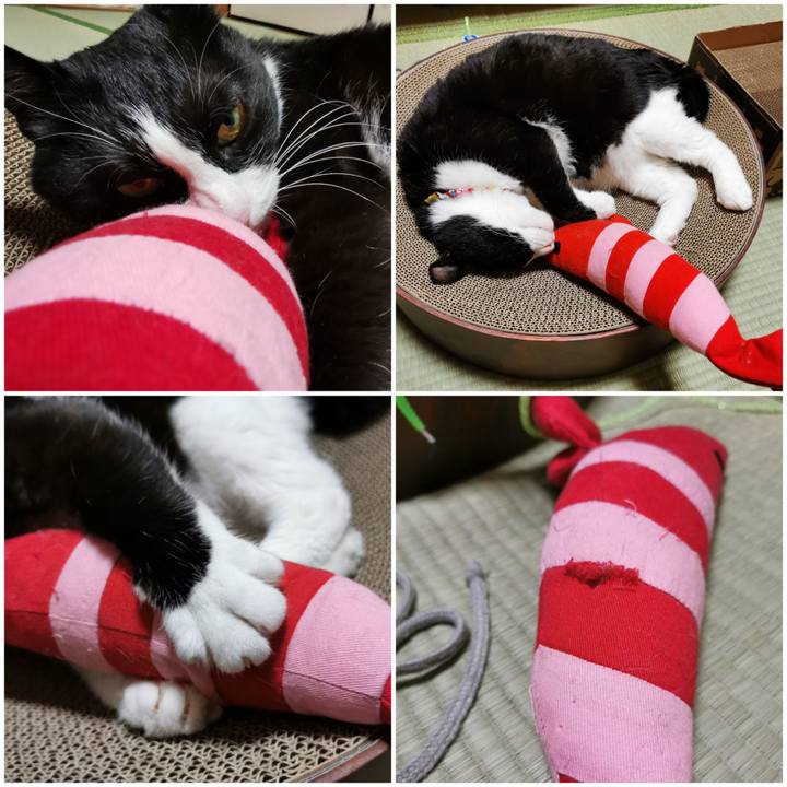 A4c45b07 78f9 4fad bebf d64fdebad305 1653017045244