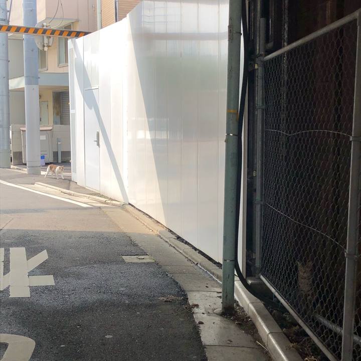 A4c4b0fc 4296 4b66 9ea9 e17cfb232489 1562344604629