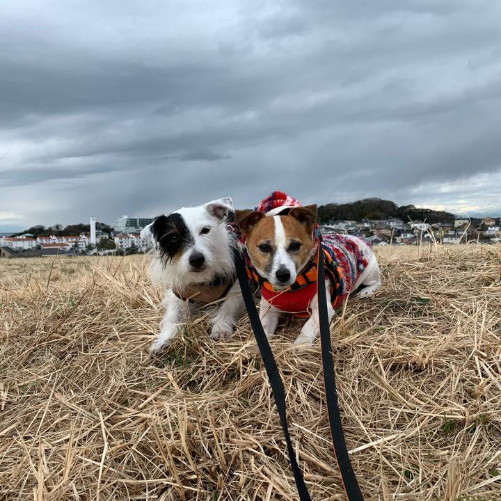 A4c4b5f0 6f49 4e78 bad4 560ea75a79c3 1580434521303