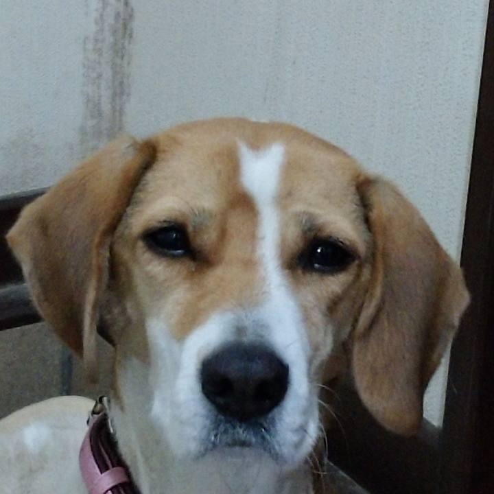 A4c4c99d b4ef 4435 a9da 070473d20287 1575768922912