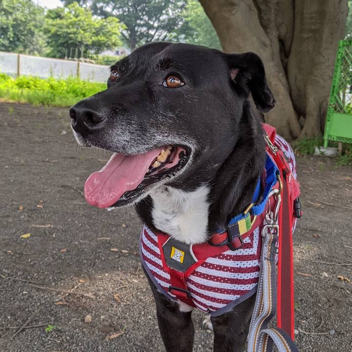 A4c4d4b1 d0ce 42d0 b9fb fa5360cd2146 1687912994470