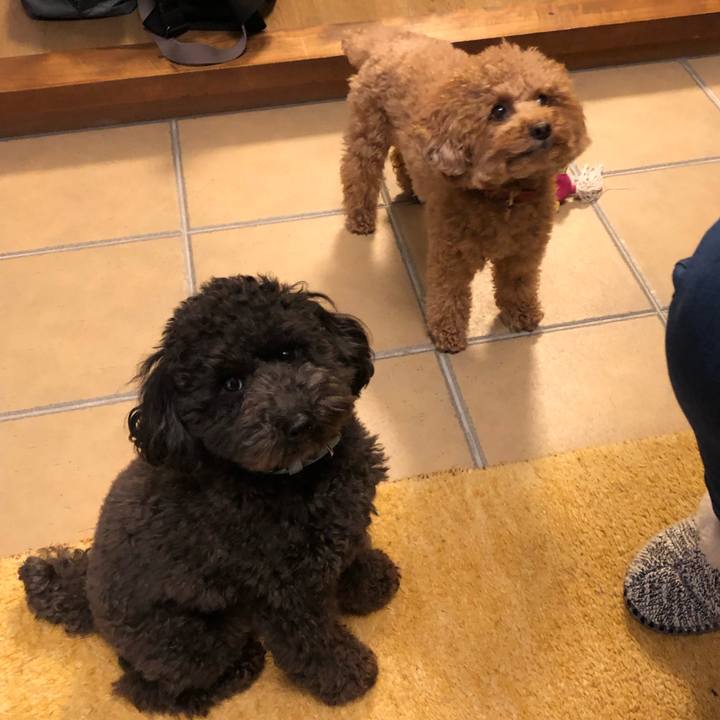 A4c4eba7 dbc5 467c 9dca c86ce4737319 1580091654905