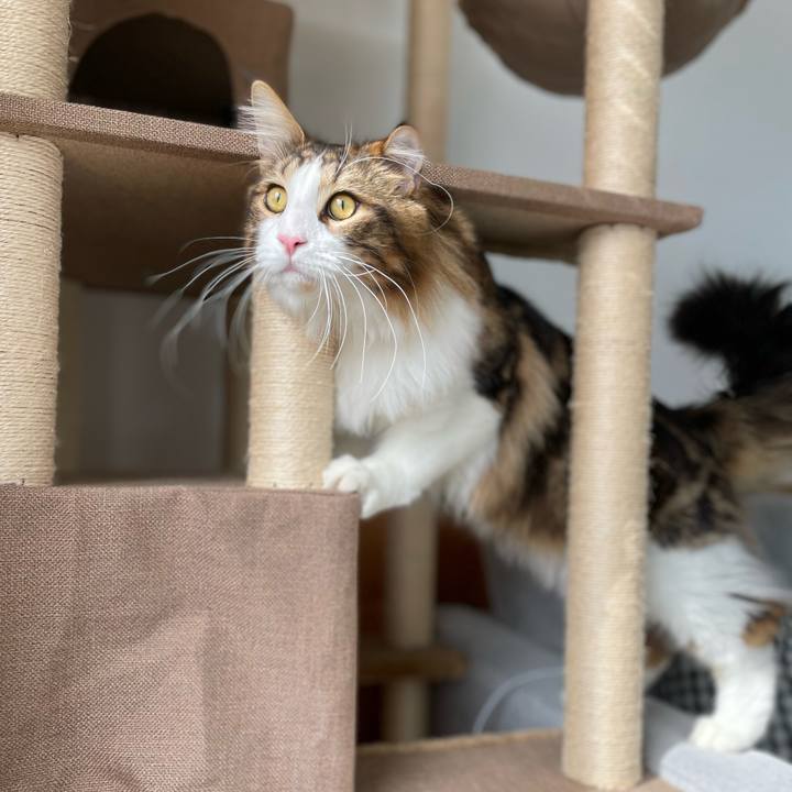 A4c5a18e ba80 4b2a beac a699463e72ea 1647850496062