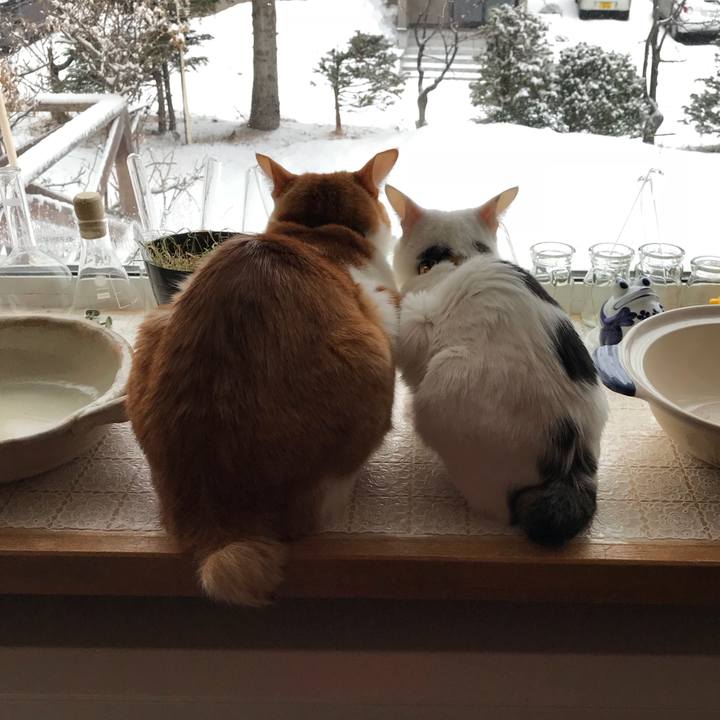 A4c5a39a 8545 4890 b012 06e05ec82d53 1521123176077