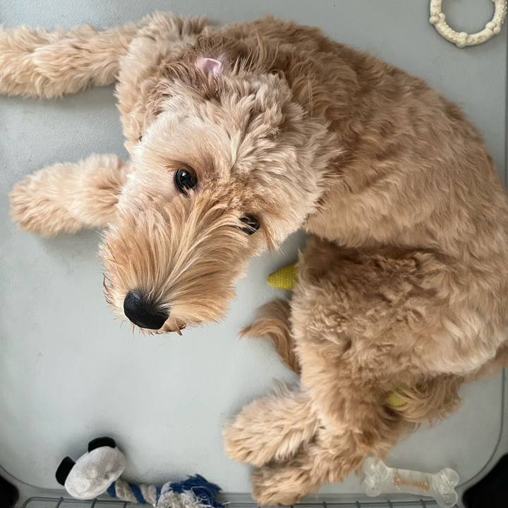 A4c62b62 82d2 4302 8a46 e62d241ede38 1689891180686