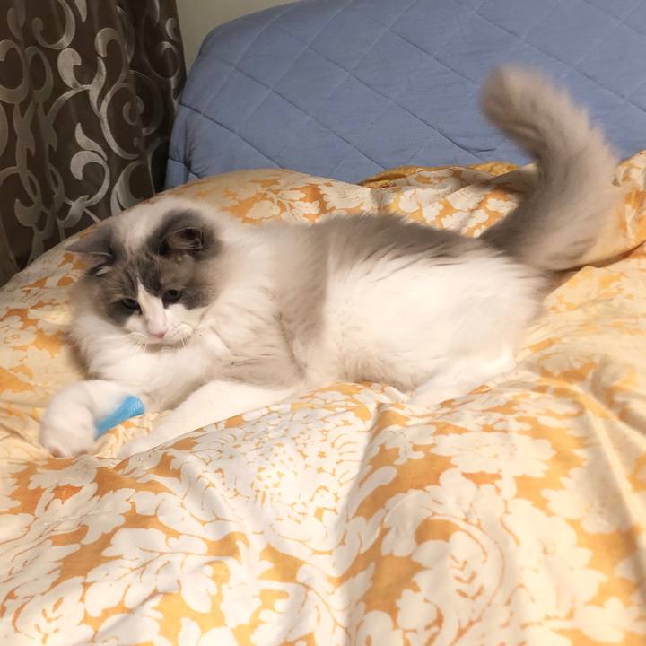 A4c67815 506c 47b3 bd83 71b966932226 1580001560425