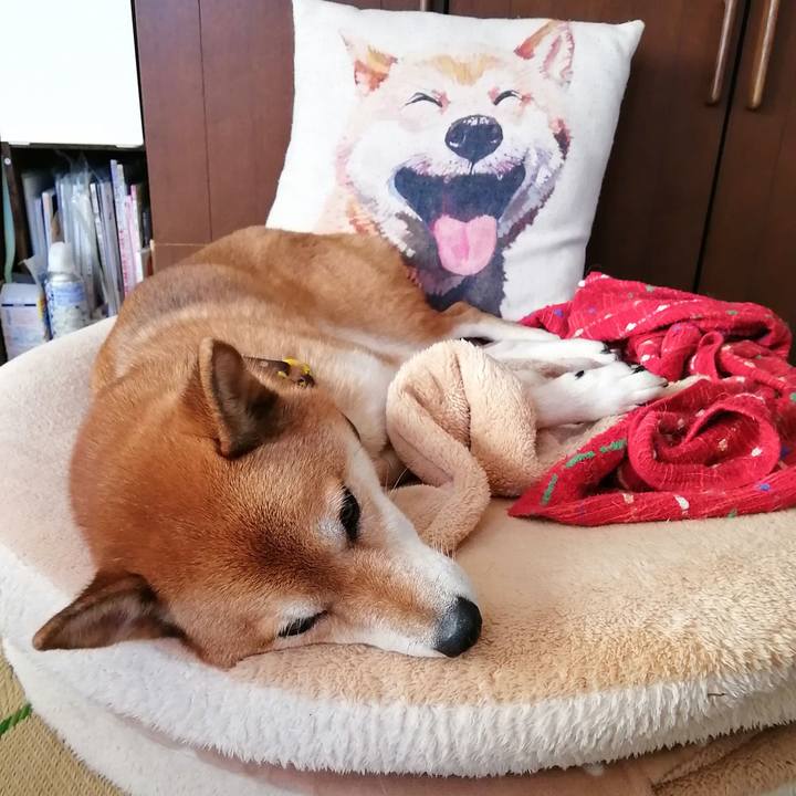 A4c6a858 b8b9 4bbf 83f0 8162ed5b4ef5 1632112259896