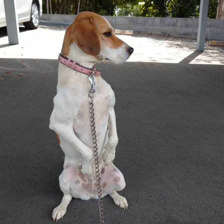 A4c6ddfb a1a7 408a 9887 1c4491969d1e 1600146804579