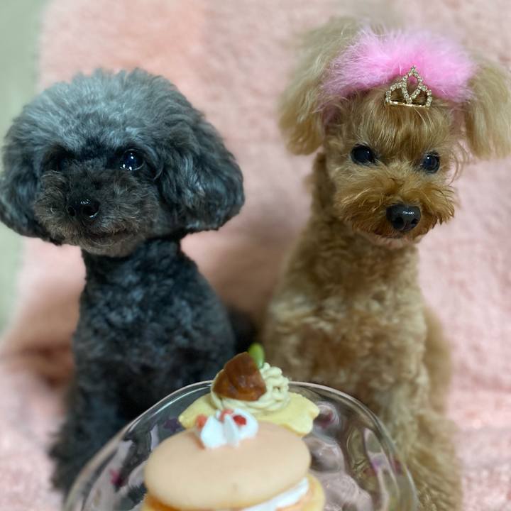 A4c71a50 d5fe 4839 bb18 c5ac0c3bfb00 1636325259377