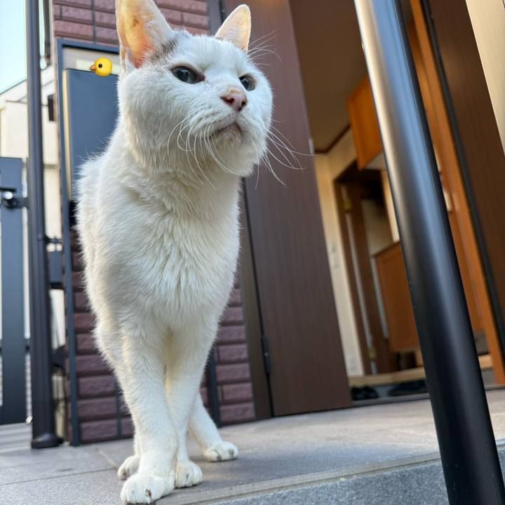 A4c723f9 20d1 4a35 9e4d 06545c1534ac 1764118597791