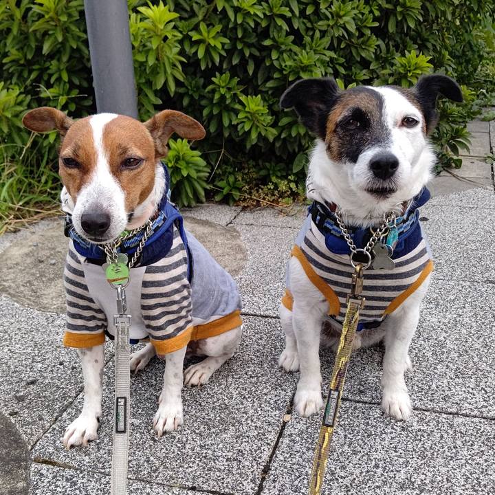 A4c72f3e 22b5 4566 bdda bee47ce06293 1633300194988