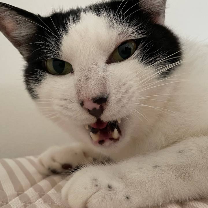 A4c79d73 5912 4768 9fb4 45282ea29cb7 1658560317283