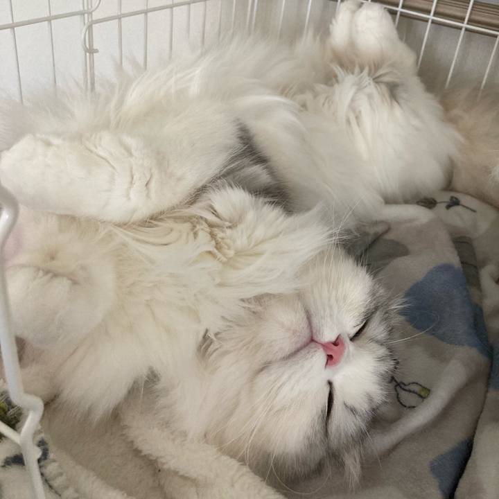 A4c7bfc2 89d0 485e b7f9 0c558cfe81f5 1679821588665